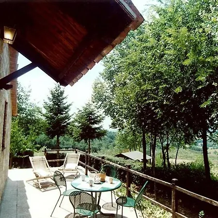 Olivino * Todi